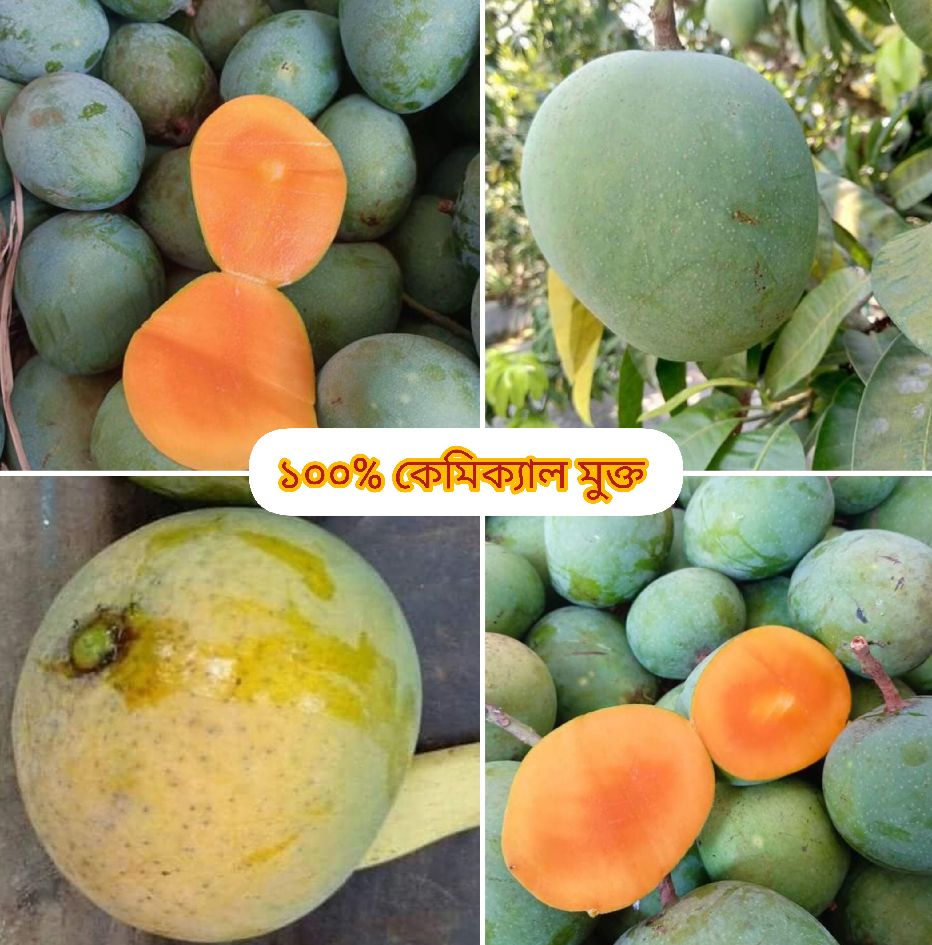১০ কেজি গোবিন্দভোগ আম ১২৫ টাকা করে ১২৫০ টাকা